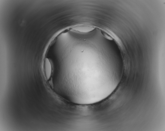 X0000091590956200709171132