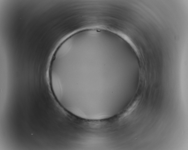 X0000091590959200709171132