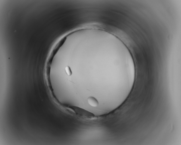 X0000091590960200709171132