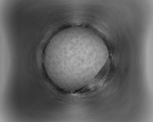 X0000091590961200709171131