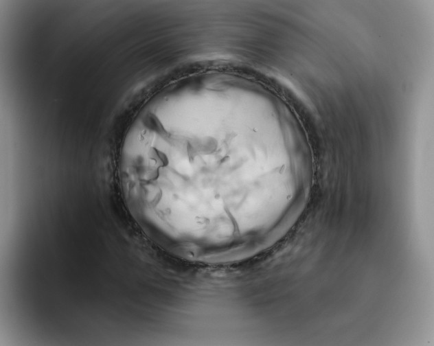 X0000091590967200709171131