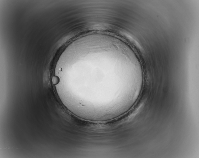 X0000091590970200709171131