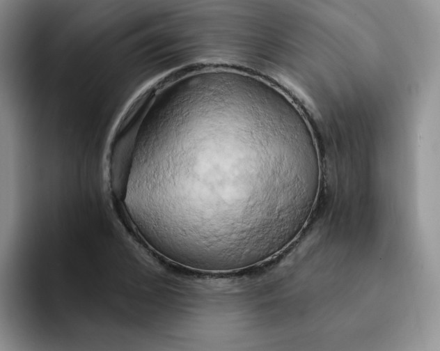 X0000091590976200709171131