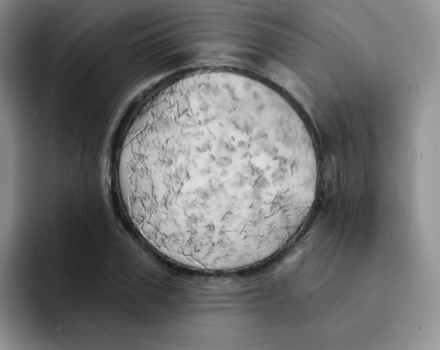 X0000091590979200709171131