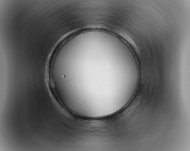 X0000091590984200709171131