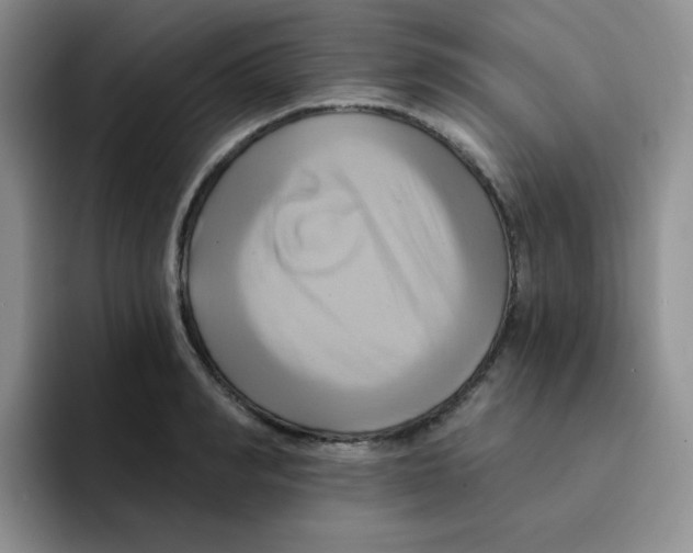 X0000091590990200709171131