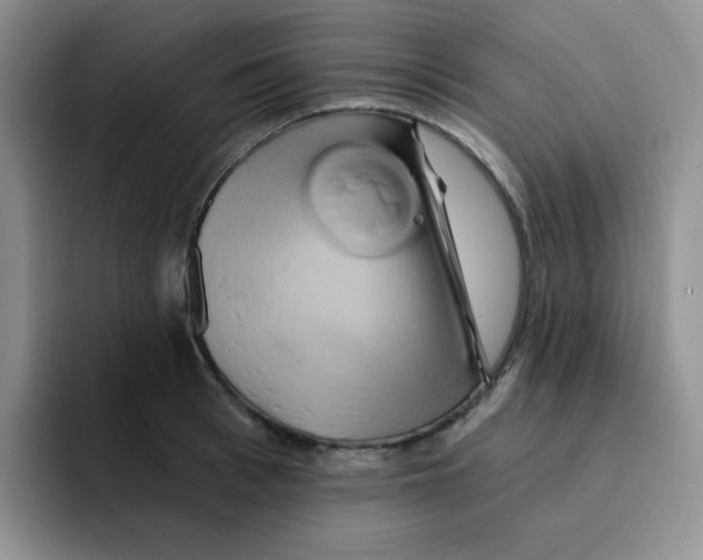 X0000091590993200709171131