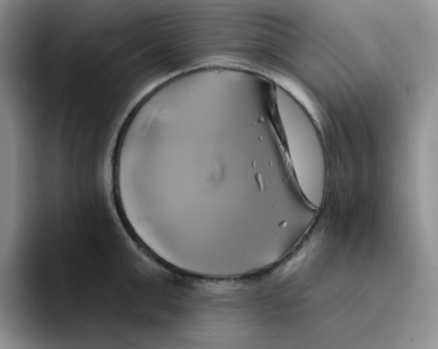 X0000091590999200709171131