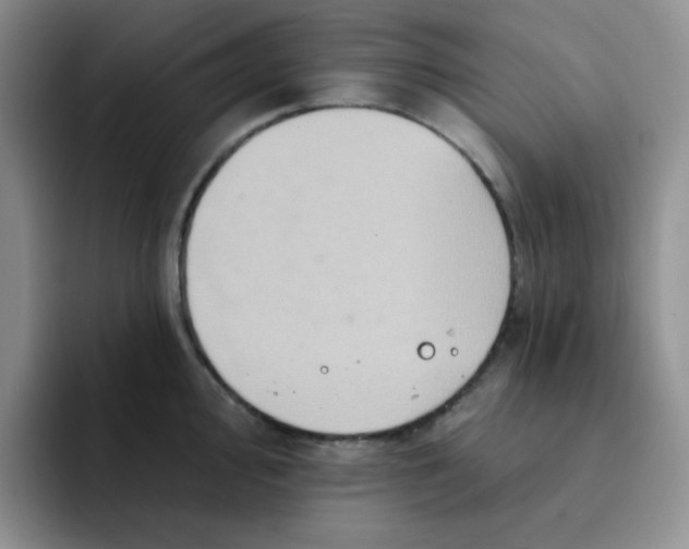 X0000091591000200709171131