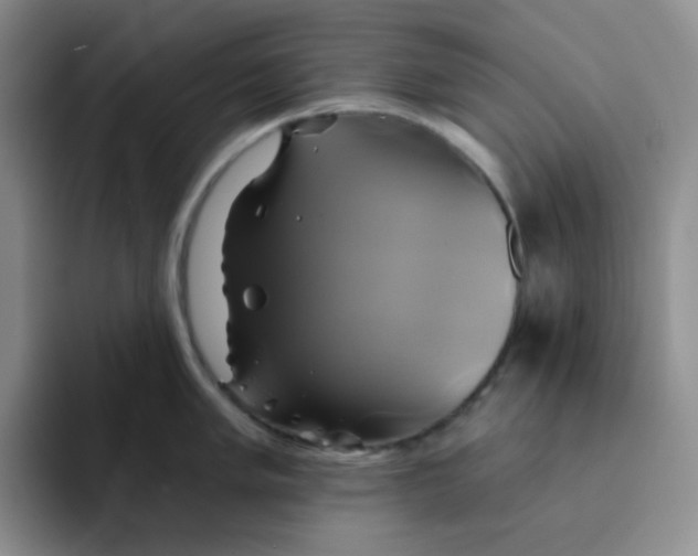 X0000091591005200709171131