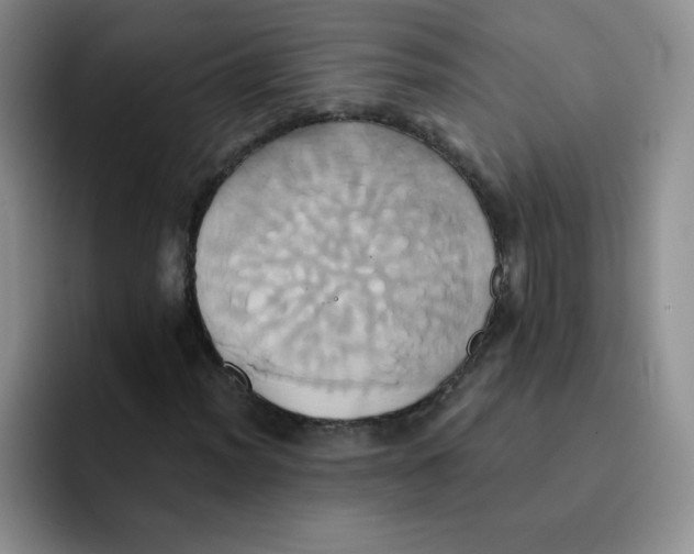 X0000091591012200709171130