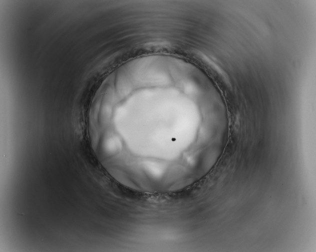 X0000091591015200709171130