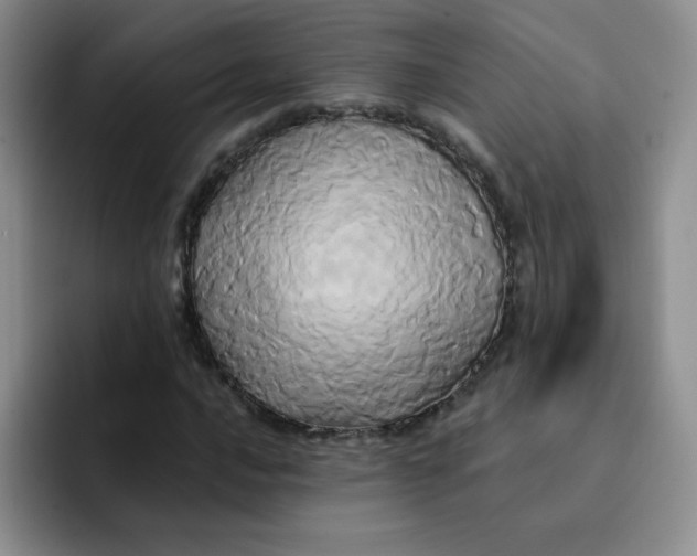 X0000091591016200709171130