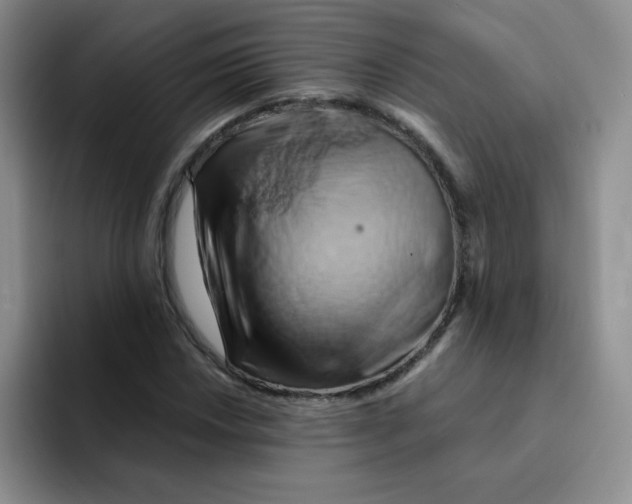 X0000091591018200709171130