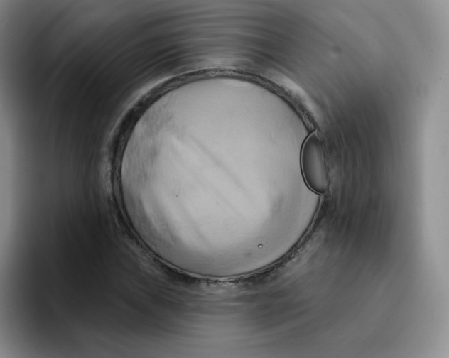 X0000091591019200709171130