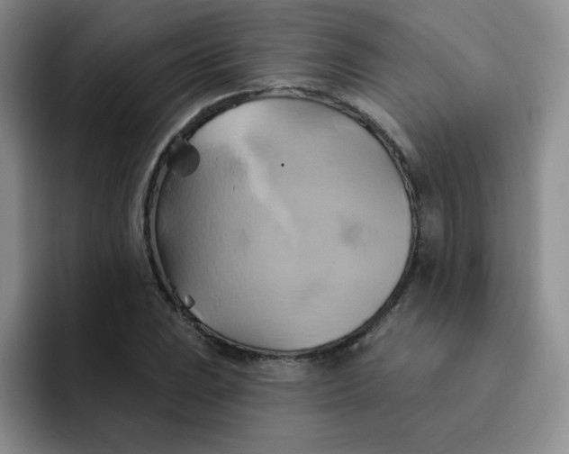 X0000091591023200709171130