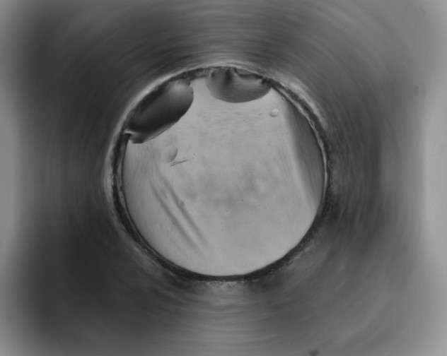 X0000091591024200709171130