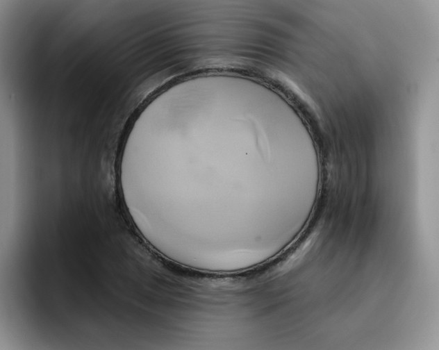 X0000091591025200709171130