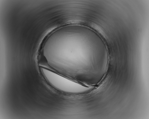 X0000091591026200709171130