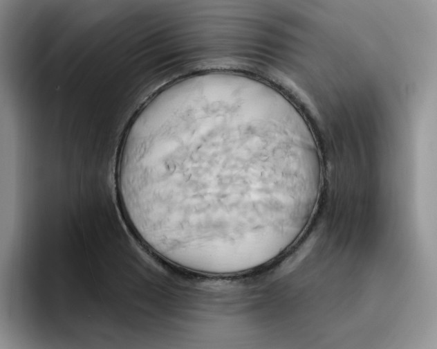 X0000091591033200709171130