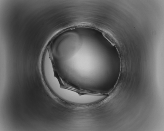 X0000091591038200709171130