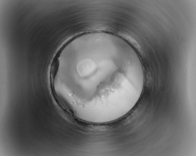 X0000091591039200709171130