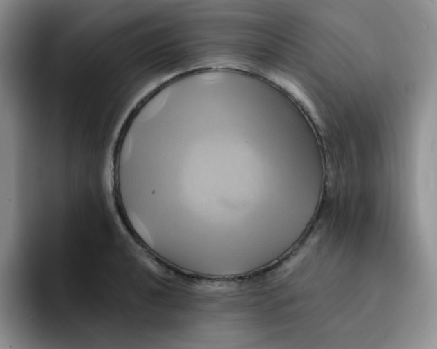 X0000091591040200709171131