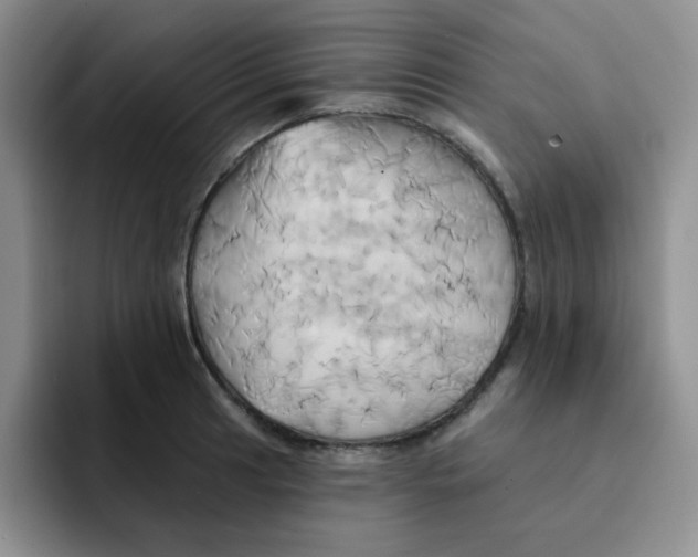 X0000091591041200709171131