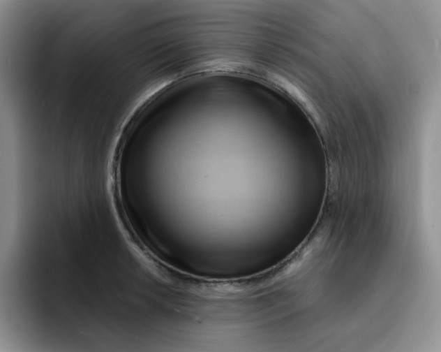 X0000091591042200709171131