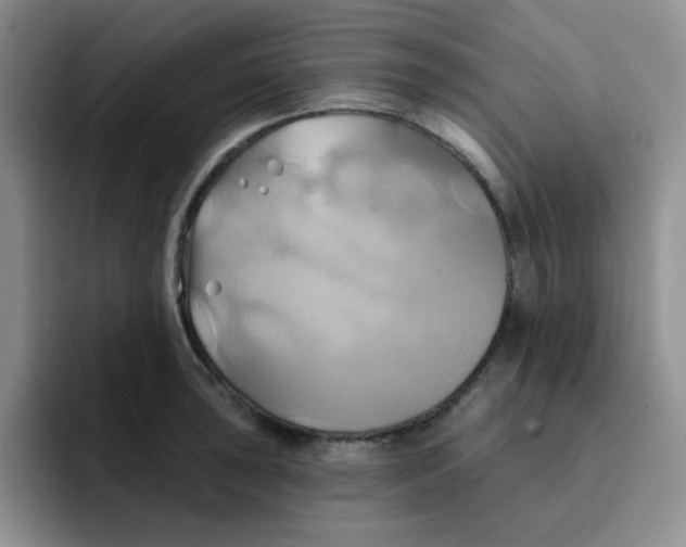 X0000091591043200709171131