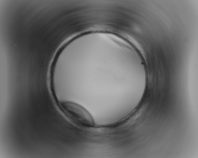 X0000091591045200709171131