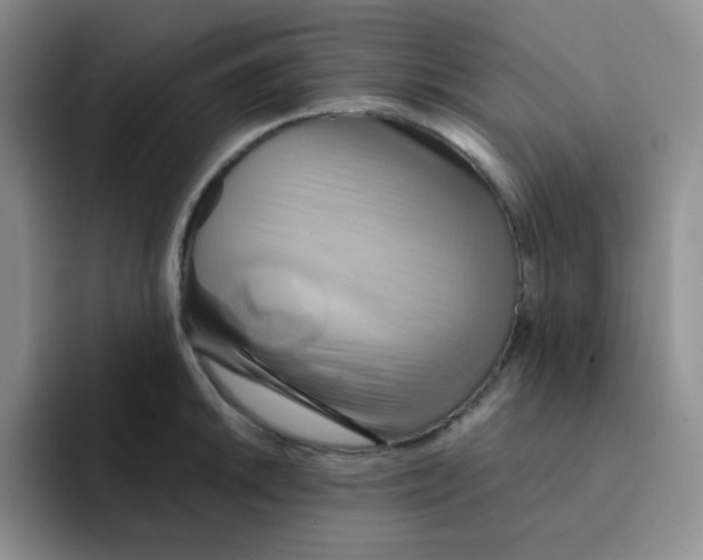 X0000091591046200709171131