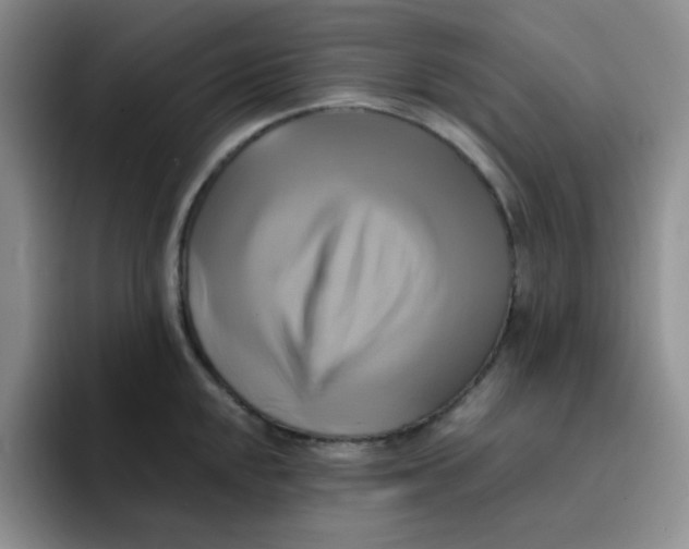 X0000091591048200709171131