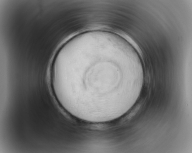 X0000091591053200709171131