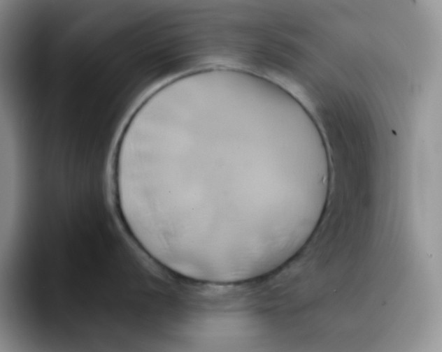 X0000091591056200709171131