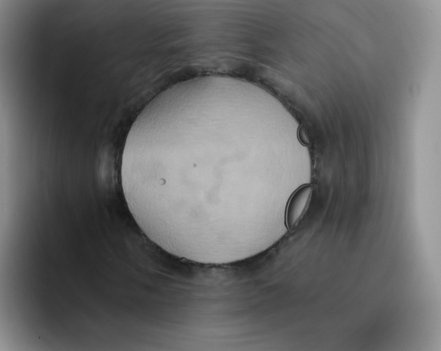 X0000091591058200709171130