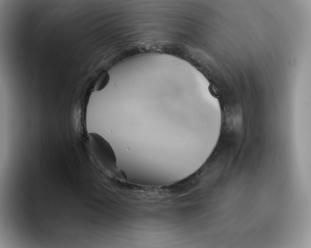 X0000091591060200709171130