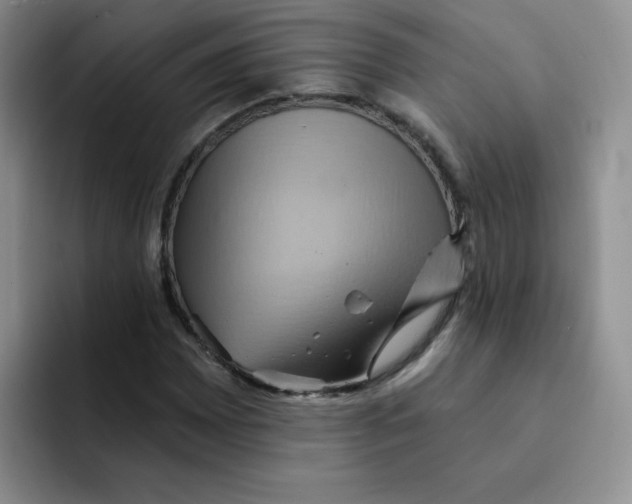 X0000091591065200709171130