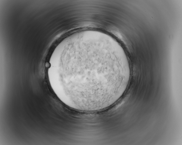 X0000091591067200709171130