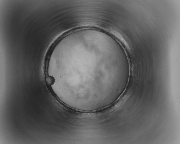 X0000091591068200709171130