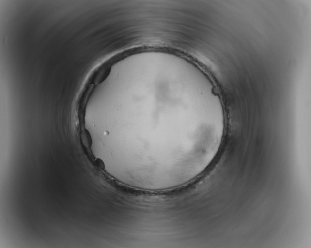 X0000091591070200709171130