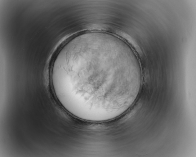 X0000091591075200709171130