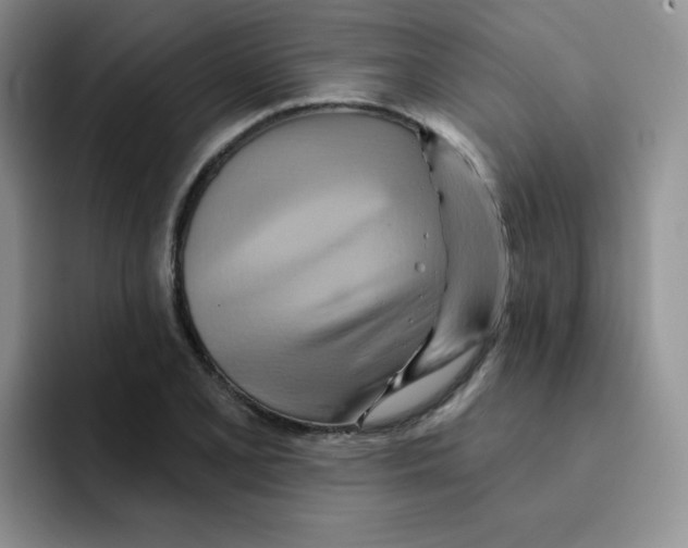 X0000091591077200709171130