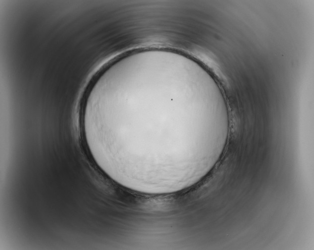 X0000091591078200709171130