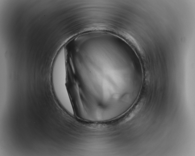 X0000091591081200709171130