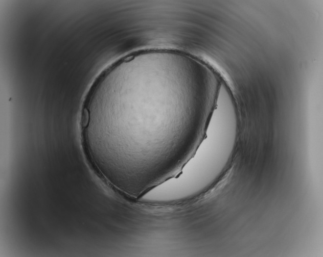 X0000091591085200709171130