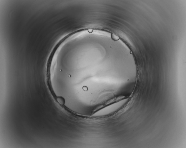 X0000091591087200709171130