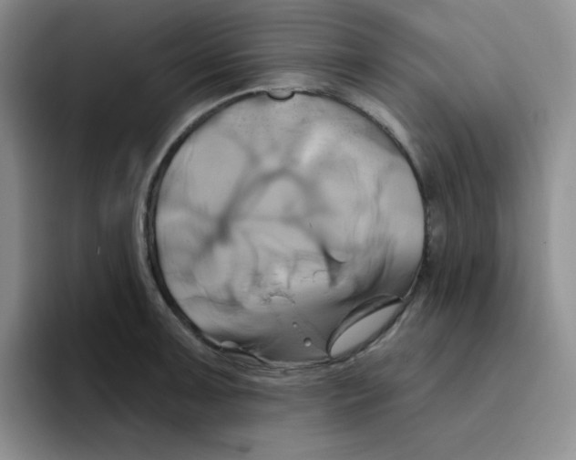 X0000091591091200709171130