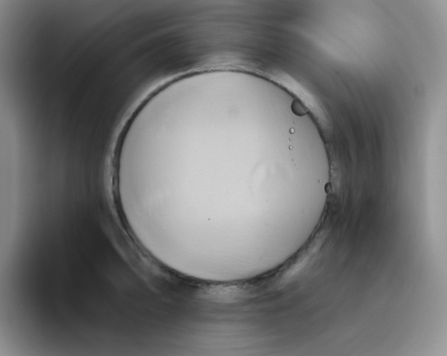 X0000091591094200709171130