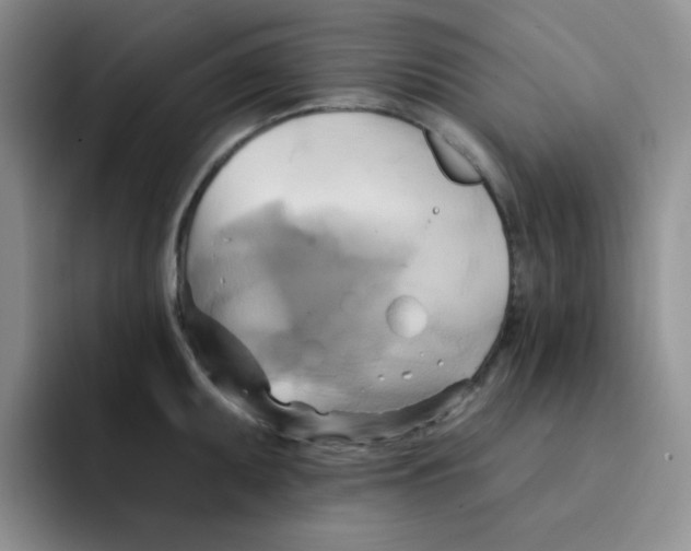 X0000091591095200709171130